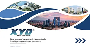 XYD компаниясының профилі